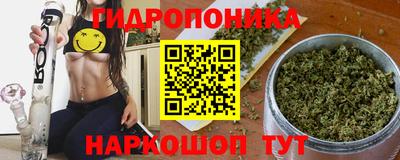 гидропоника Кунгур