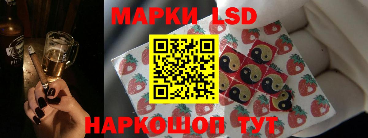 МЕФ Дмитров