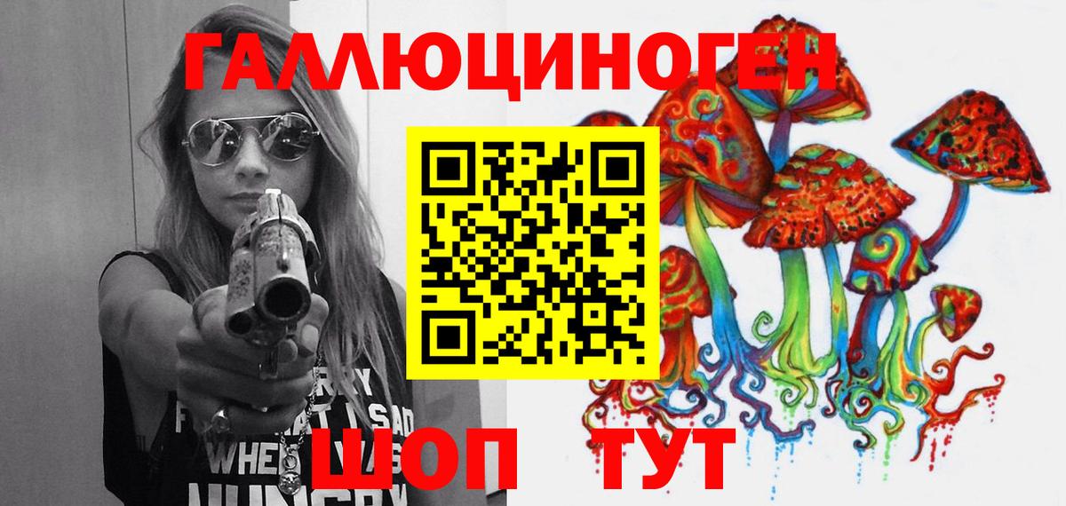 Дмитров  Галлюциногенные грибы Psilocybine cubensis  Вход с VPN 