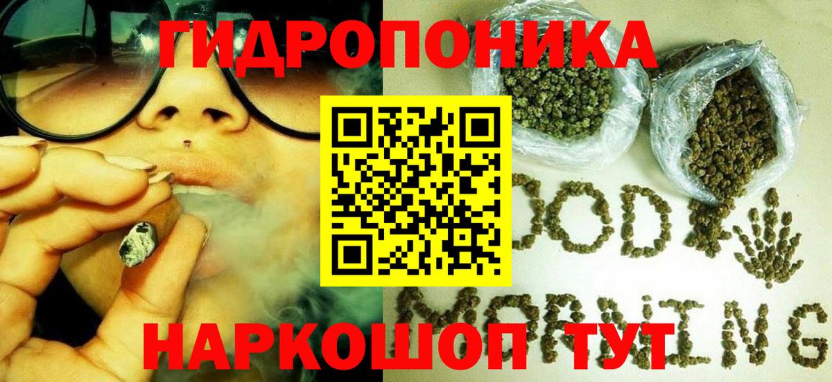 Каннабис OG Kush  Канабис Bruce Banner  Дмитров  МАРИХУАНА White Widow  Вход с VPN  Канабис OG Kush 